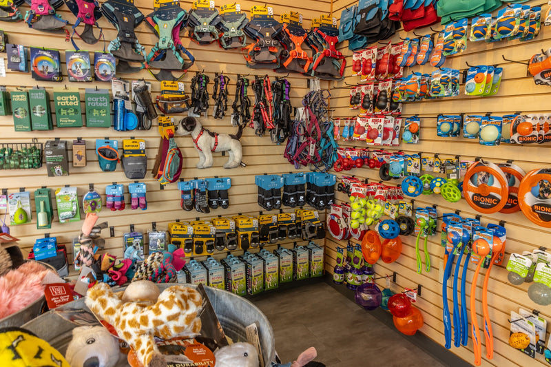 Accessories & Travel - The Healthy Pet Eugene