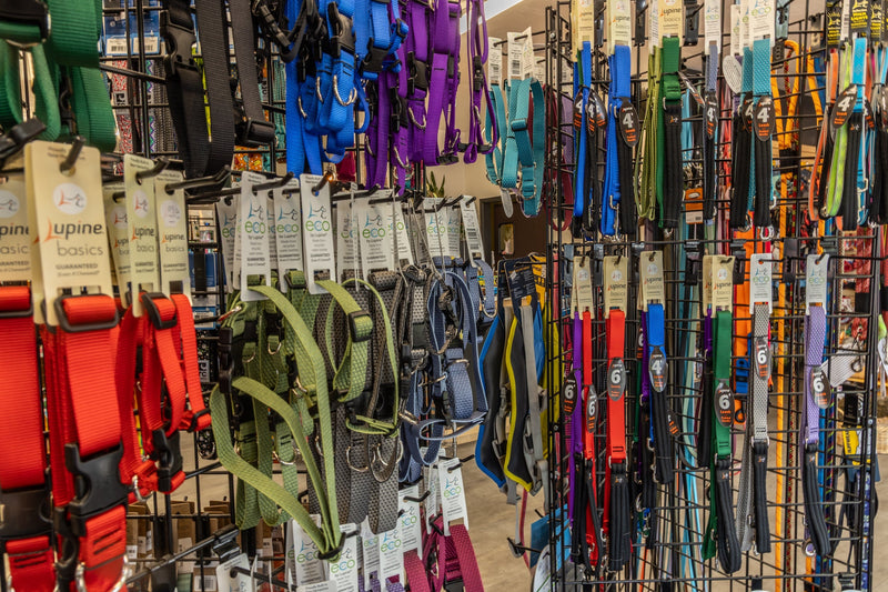 Collars/Leashes/Harnesses - The Healthy Pet Eugene