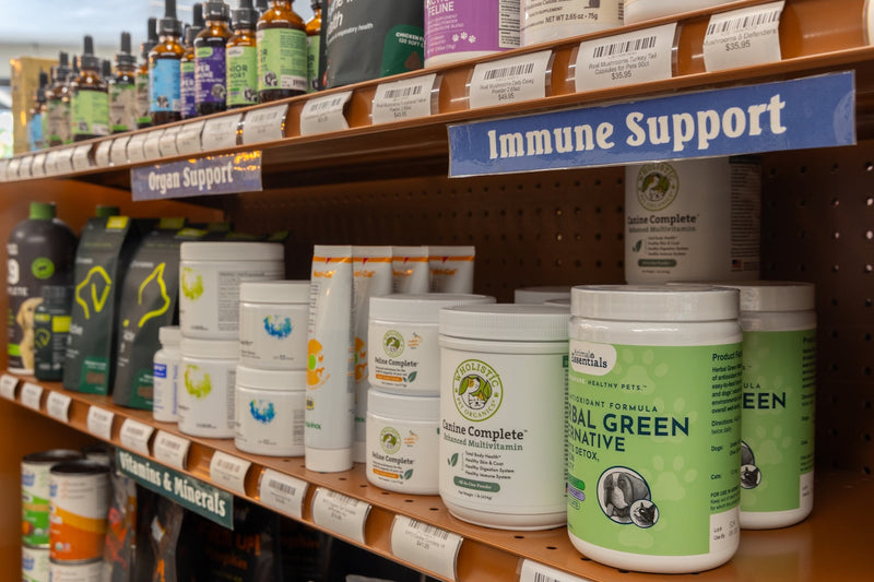 Hairball Relief - The Healthy Pet Eugene