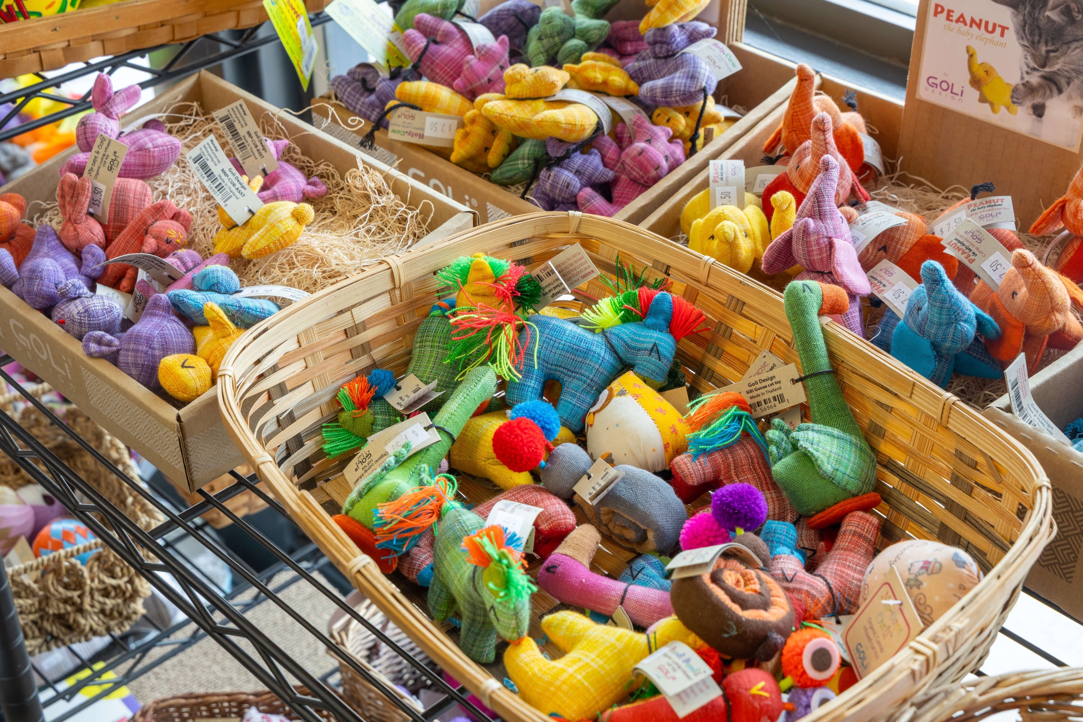 Cat Toys - The Healthy Pet Eugene
