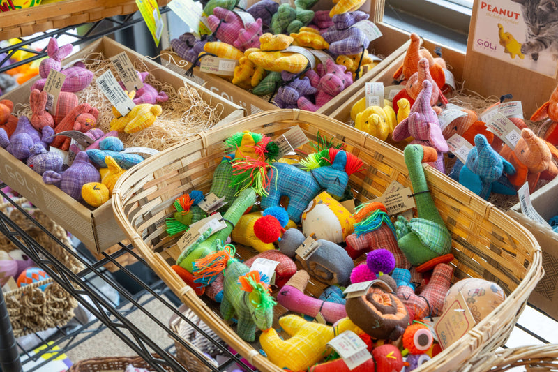 Cat Toys - The Healthy Pet Eugene