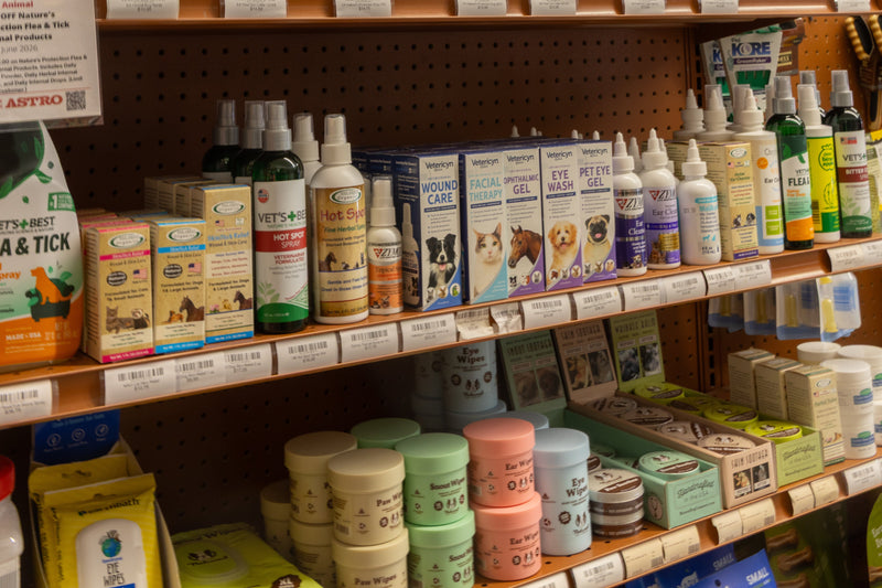 Ear Health - The Healthy Pet Eugene
