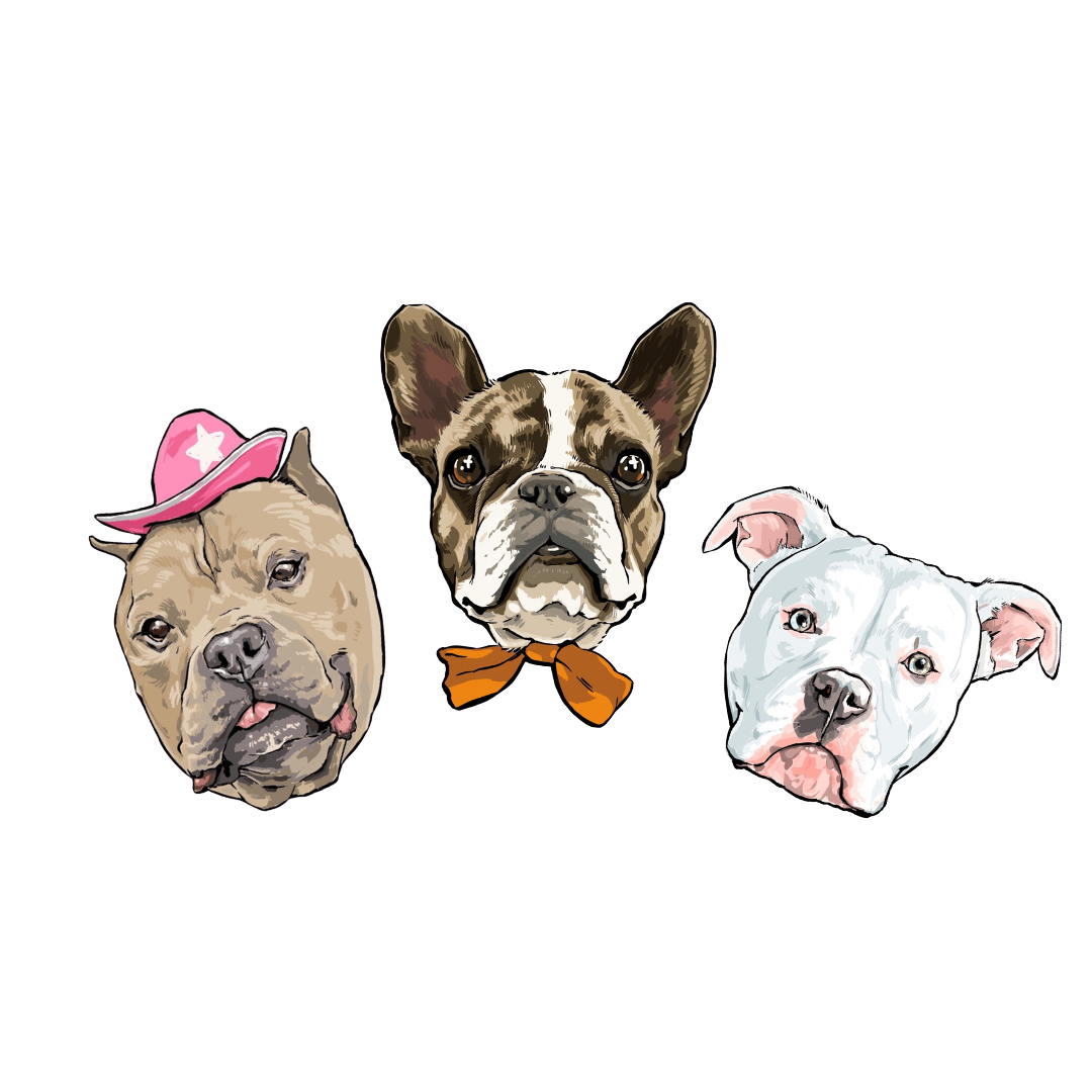 Dog Food - The Healthy Pet Eugene