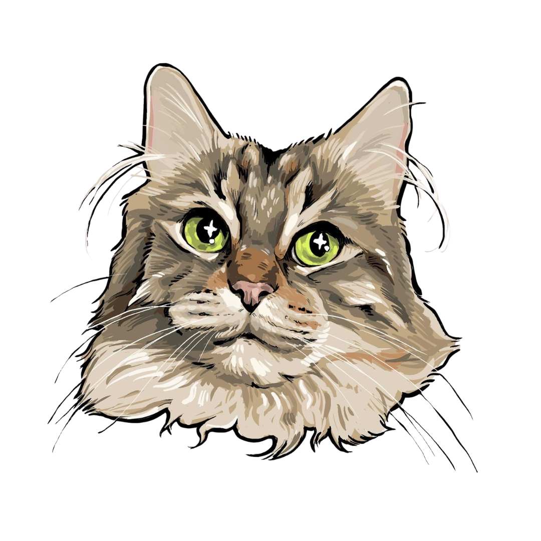 Cat Food - The Healthy Pet Eugene