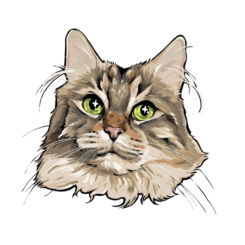 Cat Food - The Healthy Pet Eugene