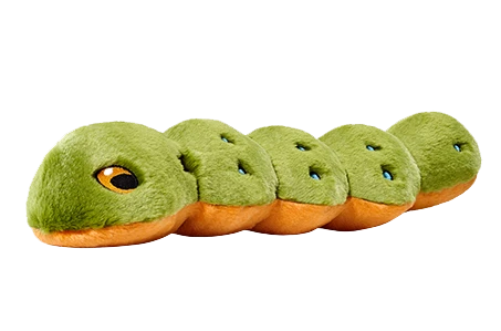 Fluff and Tuff Katie Caterpillar