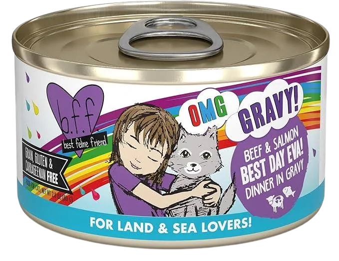 Weruva BFF OMG Best Day Eva 2.8oz for Cats