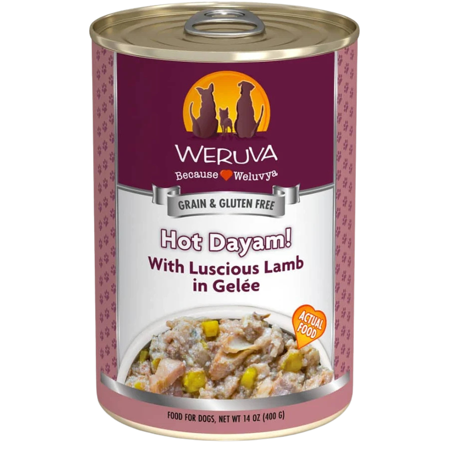Weruva Hot Dayam 14oz for Dogs