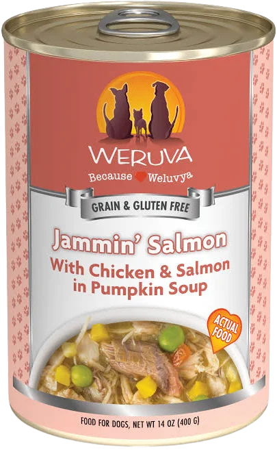 Weruva Jammin Salmon 14oz for Dogs