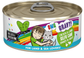Weruva BFF OMG Selfie Cam 5.5oz for Cats