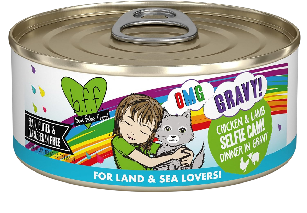 Weruva BFF OMG Selfie Cam 5.5oz for Cats