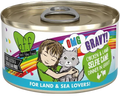 Weruva BFF OMG Selfie Cam 2.8oz for Cats