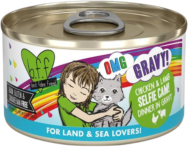 Weruva BFF OMG Selfie Cam 2.8oz for Cats